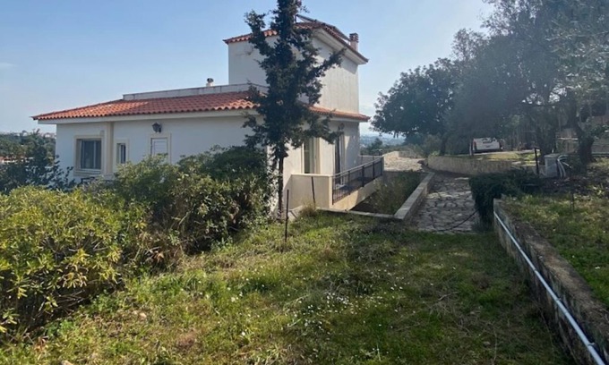 Rafina Apartment | Apartment in olive grove with large garden area, 5 km to the sea