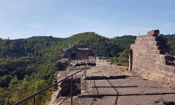 Schontal Apartment | Apartment in the idyllic setting of the biosphere reserve Palatinate Forest