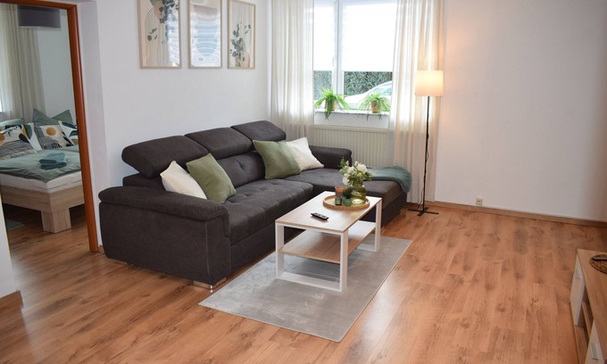 Weissenfels Apartment | Apartment 'Jacobi' with Wi-Fi