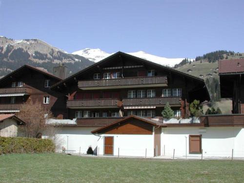 Lenk Apartment | Apartment Kronenplatz 6 # 2 by Interhome