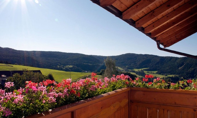 Salonetto Apartment | Apartment "Mölten" with Mountain View, Wi-Fi, Balcony & Garden