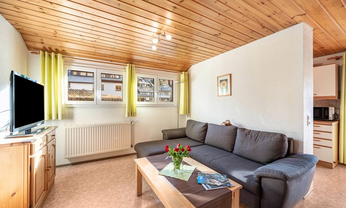 Todtnauberg Apartment | Apartment 'Morgensonne' with Mountain View, Shared Terrace and Wi-Fi