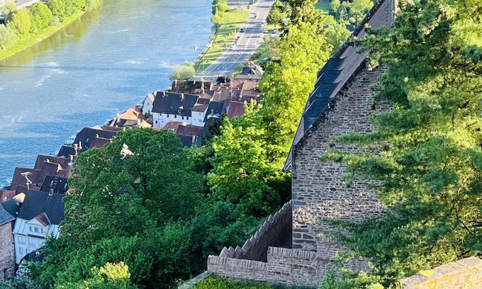 Hirschhorn Apartment | Apartment no.3 climatic health resort, pearl of the Neckar valley