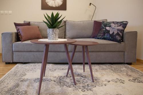 Celje Apartment | Apartment Nobl plac