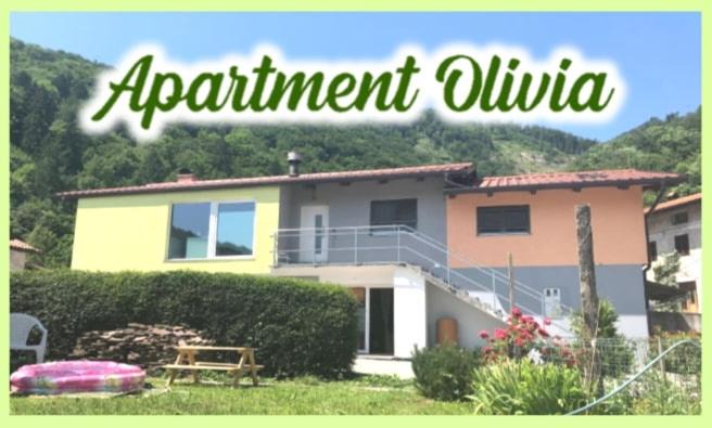 Ciginj Apartment | Apartment Olivia