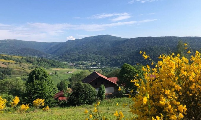 Fresse-sur-Moselle Apartment | Apartment on Vosges farm with terrace, fireplace and wifi