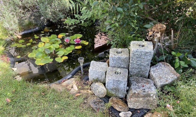 Schwielowsee House | Apartment relaxation at Schwielowsee