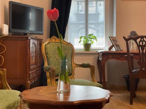 Chorzow Apartment | APARTMENT SILESIAN STADIUM and PARK