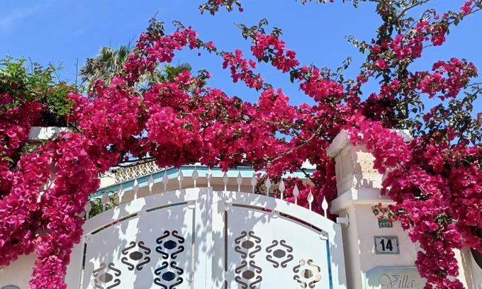 Torre Chianca Villa | Apartment sleeps 4 in a villa 100m from the sandy sea