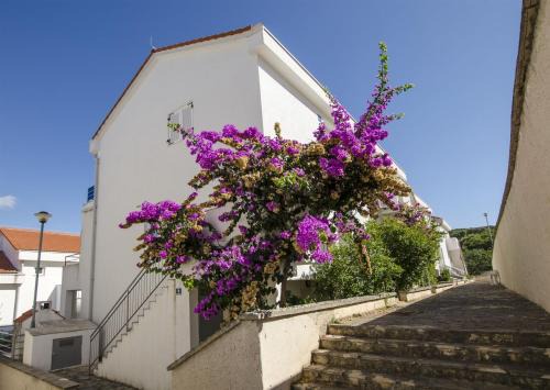 Necujam Apartment | Apartment Tatjana