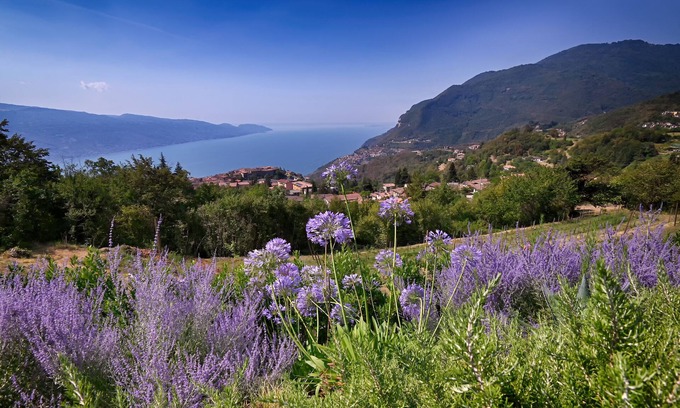 Valvestino Apartment | Apartment with breakfast - Only Adults