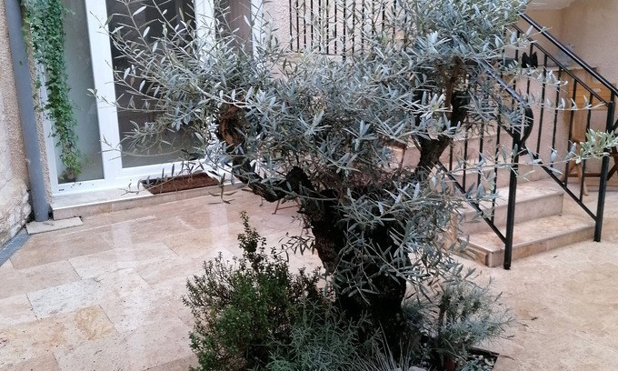 Perigueux Apartment | APARTMENT WITH CLIM, Fiber and GARAGE