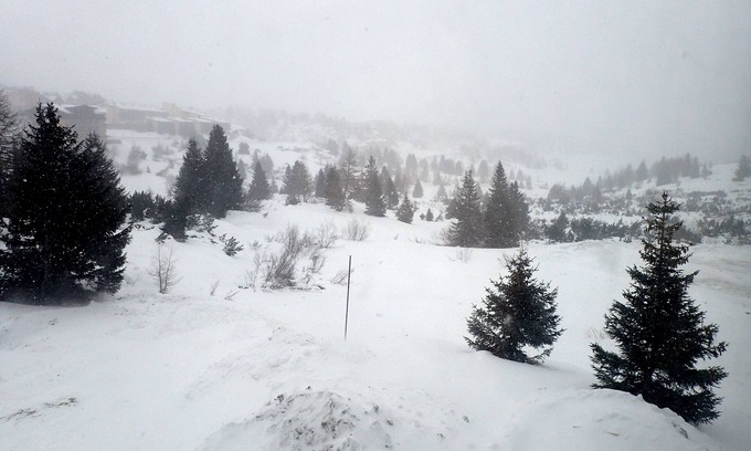 Passo del Tonale Apartment | Apartment with kitchen 300 m from the ski runs, in the Italian Alps