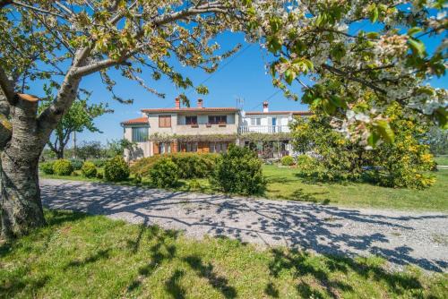 Filipana Apartment | Apartment with Terrace in Filipana