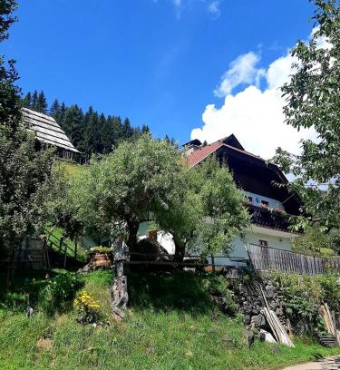 Poelling Apartment | Apartments Berghof Familie Steinwender