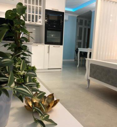 Zamosc Apartment | Apartments MERLIN Sienkiewicza Zamość