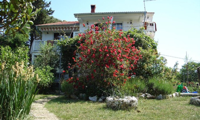 Suha Punta Apartment | Apartments with parking space Kampor, Rab - 5014