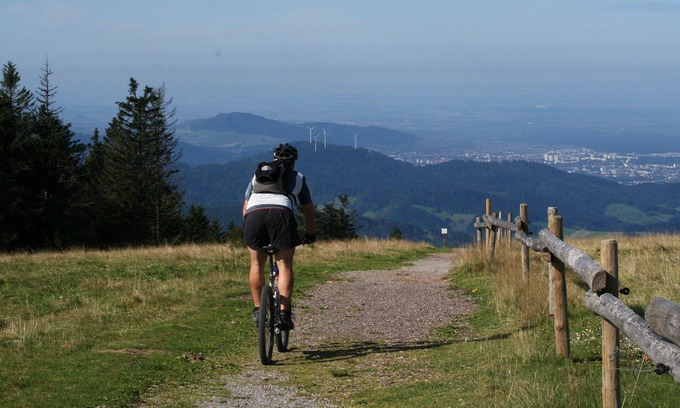 Munstertal Hotel | App. Medium - pure relaxation in nature