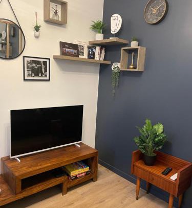 Saint-Symphorien-d'Ozon Apartment | Apparemment T2 meublé 2bis