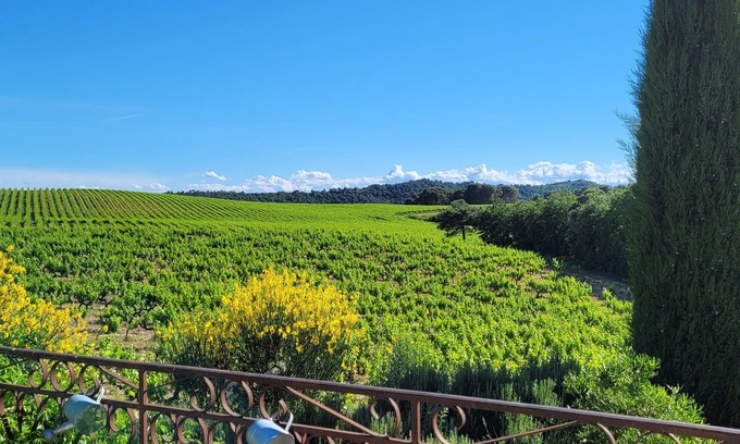 Mondragon Apartment | Apparently T2 in house in the middle of the vineyards