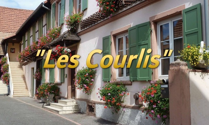 Hoerdt Apartment | Appart. 2 rooms "Les Courlis" near Strasbourg. 3* Furnished Accommodation