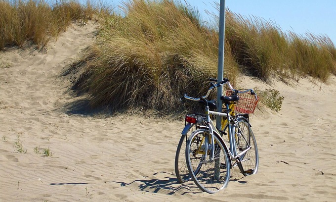 Marina di Grosseto Apartment | Appartamento Rosmarina