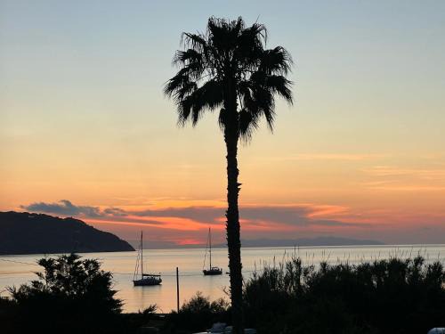 Procchio Apartment | Appartamenti Lucry