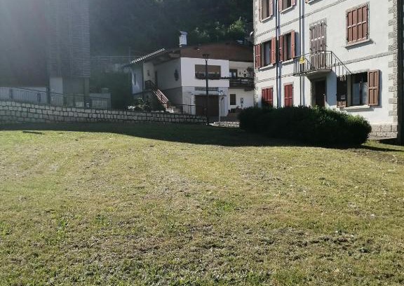 Pieve di Cadore Apartment | Appartamento al sole