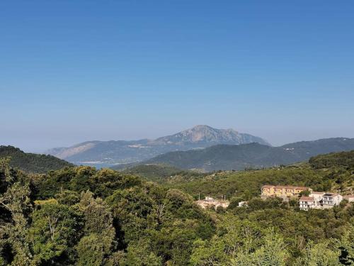 Torraca Apartment | Appartamento "Il Glicine"