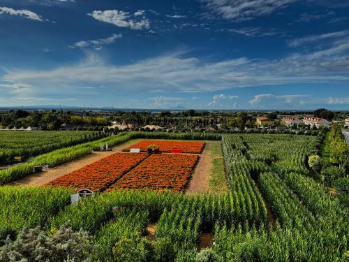 Pignataro Maggiore Apartment | Appartamento La Rondine