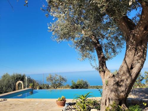 Acquedolci House | Appartamento Origano
