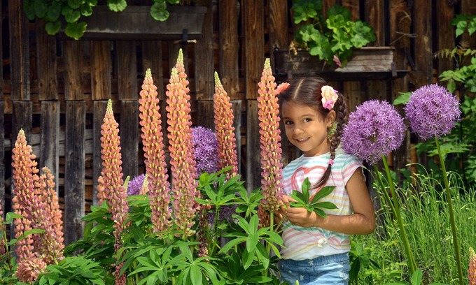 Falkenburg Apartment | Appartement "landlust" ab 3 Nächte - Urlaub im Stall- Familiengenossenschaft