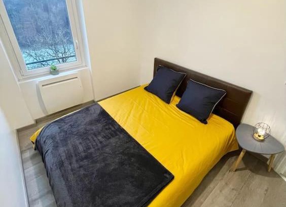 Bellegarde-sur-Valserine Apartment | Appartement le Rhôn'ain - Vue Rhône - Lit Queen size