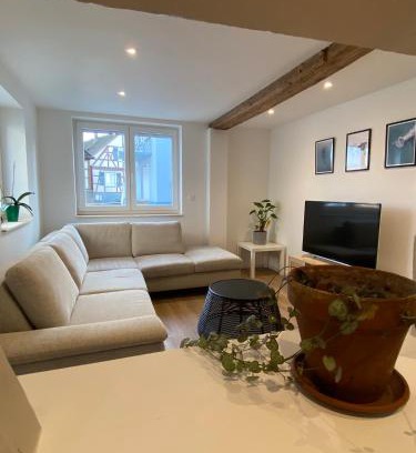 Soufflenheim Apartment | Appartement confortable