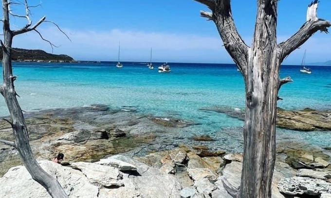 Santa-Maria-Poggio Apartment | Appartement Costa Verde, vue mer Avec Piscine et Plage à 400 m