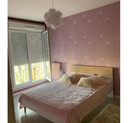 Vandoeuvre-les-Nancy Apartment | Appartement spacieux et lumineux