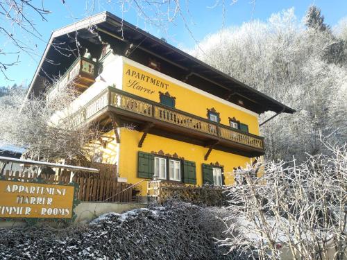 Zell am See House | Appartement Harrer