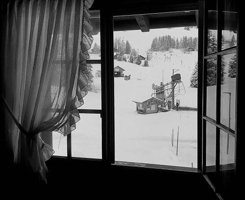 Les Mosses Apartment | Appartement les Myosotis