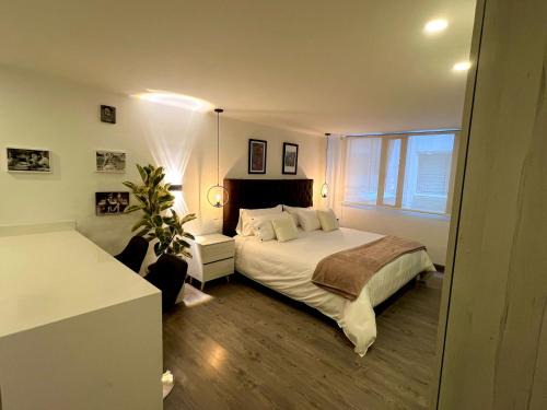 Zona Rosa Apartment | apt 1