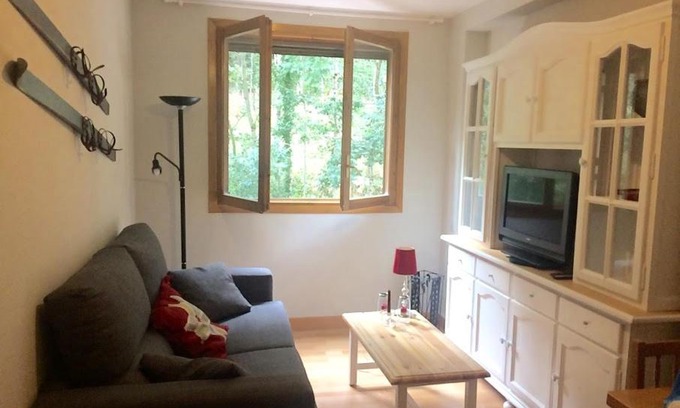 Canfranc-Estacion Apartment | Arañones