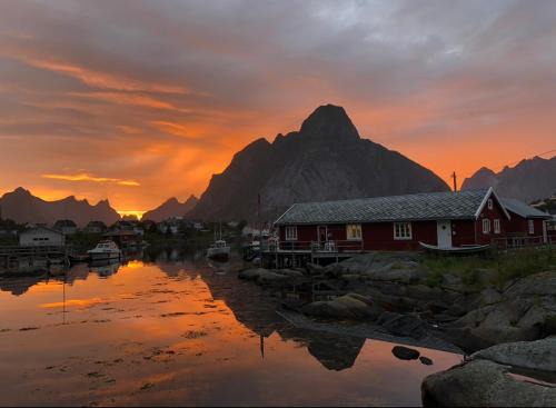 Moskenes House | Arctic Fishermans Lodge- SAUNA included
