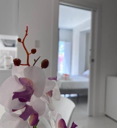 Vietri sul Mare Apartment | Aretusa Resort Amalfi Coast