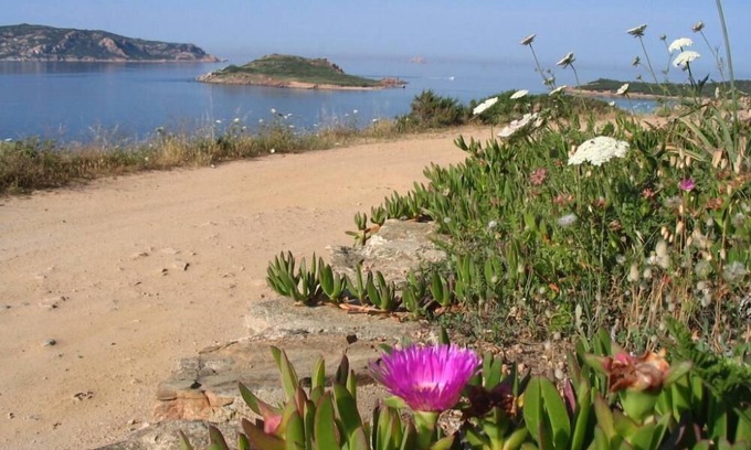 Monte Petrosu Apartment | Asfoldelia: holiday, sea and relax in elegant apartment