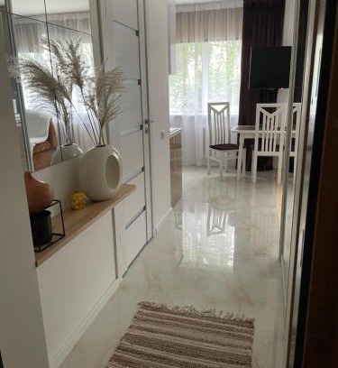Anyksciai Apartment | Atostogos