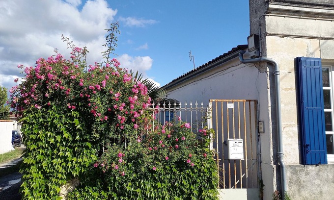 Rochefort Apartment | Attractive new 30m2 T2 apartment, close to amenities, town center and spa.