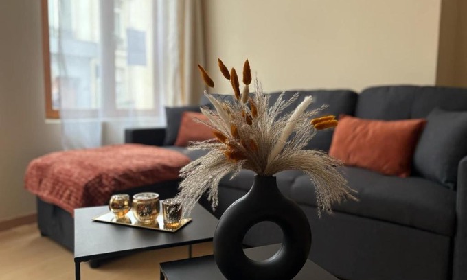 Aire-sur-la-Lys Apartment | Au Courant d'Aire!
