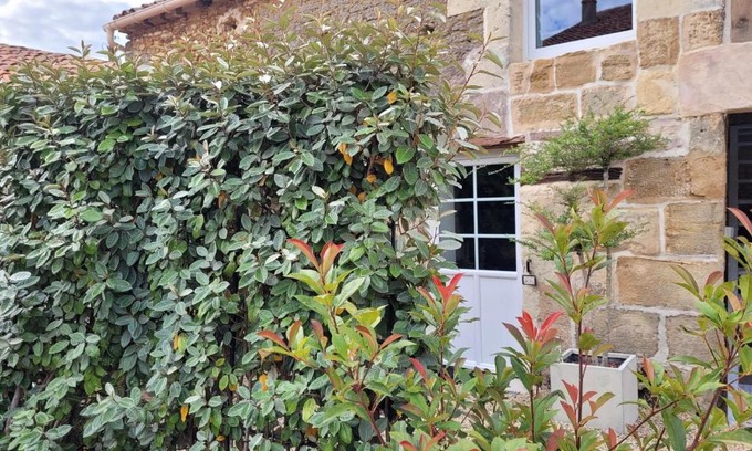 Les Verchers-sur-Layon House | Au creux des vignes