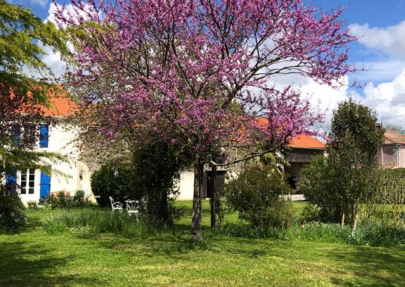 Vandre House | AU DOMAINE DES OISEAUX ses chambres sa gloriette insolite face à l'étang bucolique