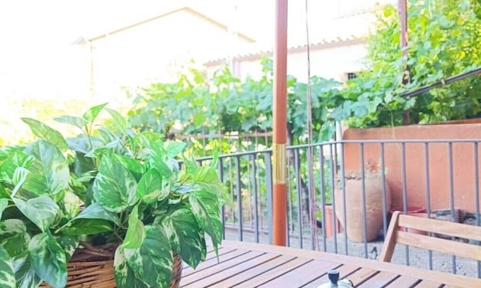 Solicchiata House | Aunt Pina's Palmento. Quiet house with garden at the foot of Mount Etna.