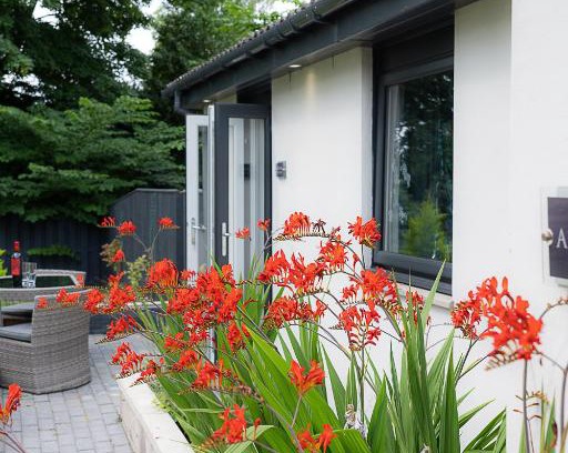 Coupar Angus Bed & Breakfast | Aurora suite B&B